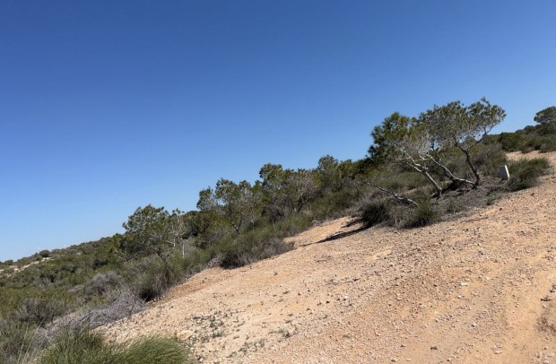 Resale - Land and Plots - San Fulgencio - La Marina