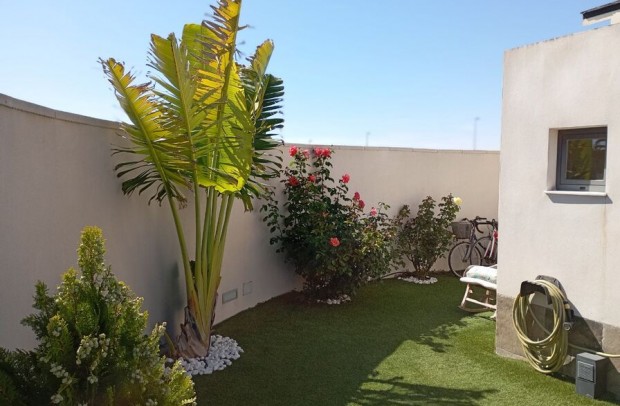 Resale - Villa Detached - Daya Nueva