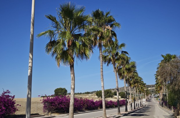 Resale - Villa Detached - Algorfa - La Finca Golf Resort