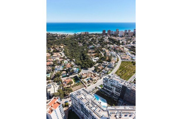 Nouvelle construction - Villa Detached - Orihuela Costa - Dehesa de campoamor