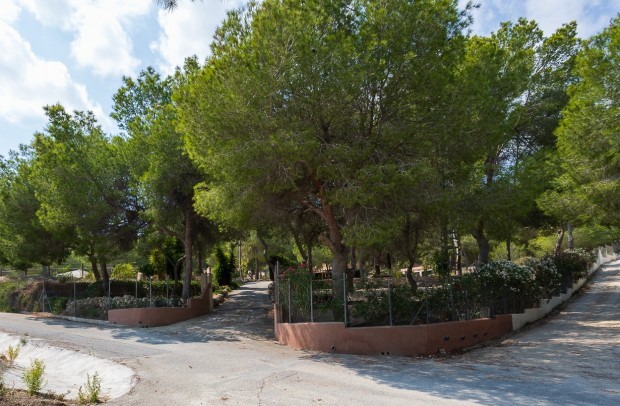 Resale - Country Property - Torremendo
