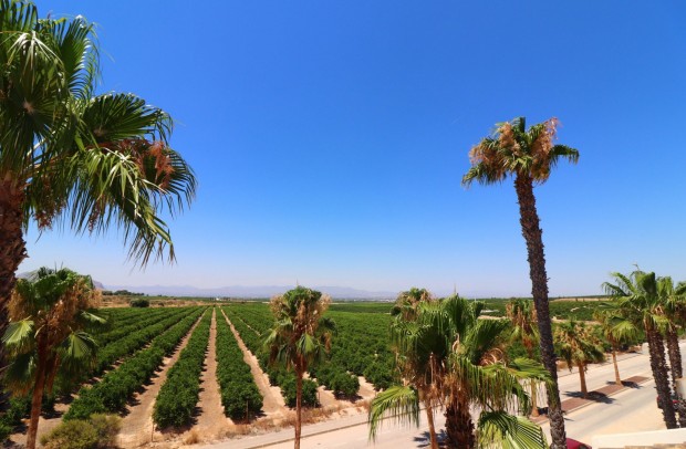 Resale - Semi-Detached - Algorfa - La Finca Golf Resort