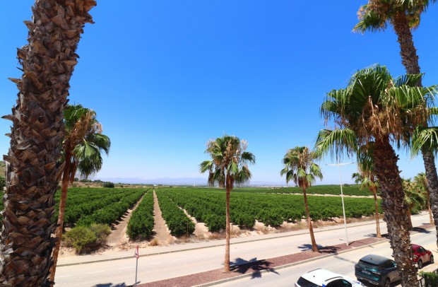 Resale - Semi-Detached - Algorfa - La Finca Golf Resort