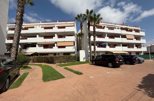 Resale - Apartment - Orihuela - Playa Flamenca