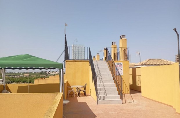 Reventa - Apartment - Daya Nueva