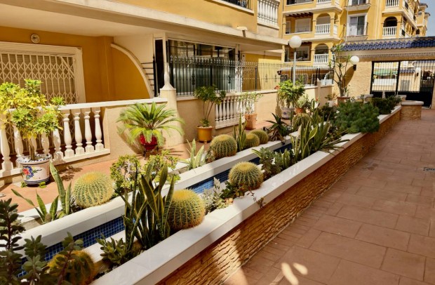 Reventa - Apartment - Algorfa