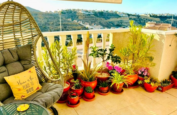 Resale - Apartment - Ciudad Quesada