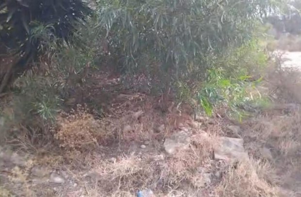 Resale - Plot - Algorfa