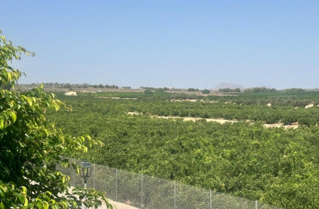 Revente - Villa Detached - Algorfa
