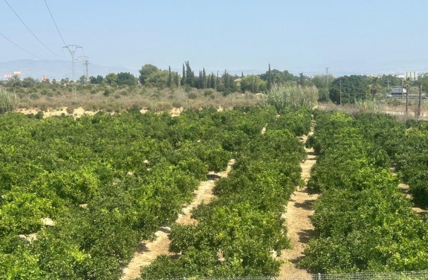 Revente - Villa Detached - Algorfa