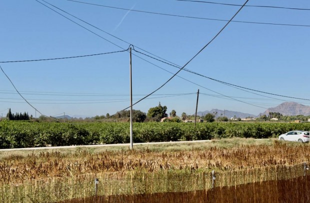 Revente - Country Property - Dolores - Comunidad Valenciana