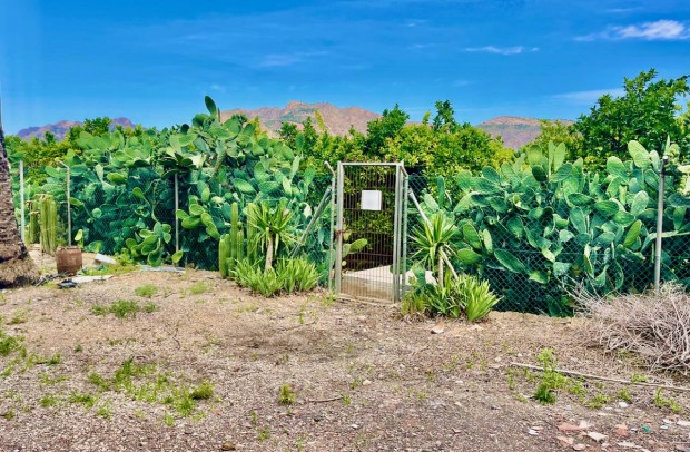 Reventa - Country Property - Orihuela